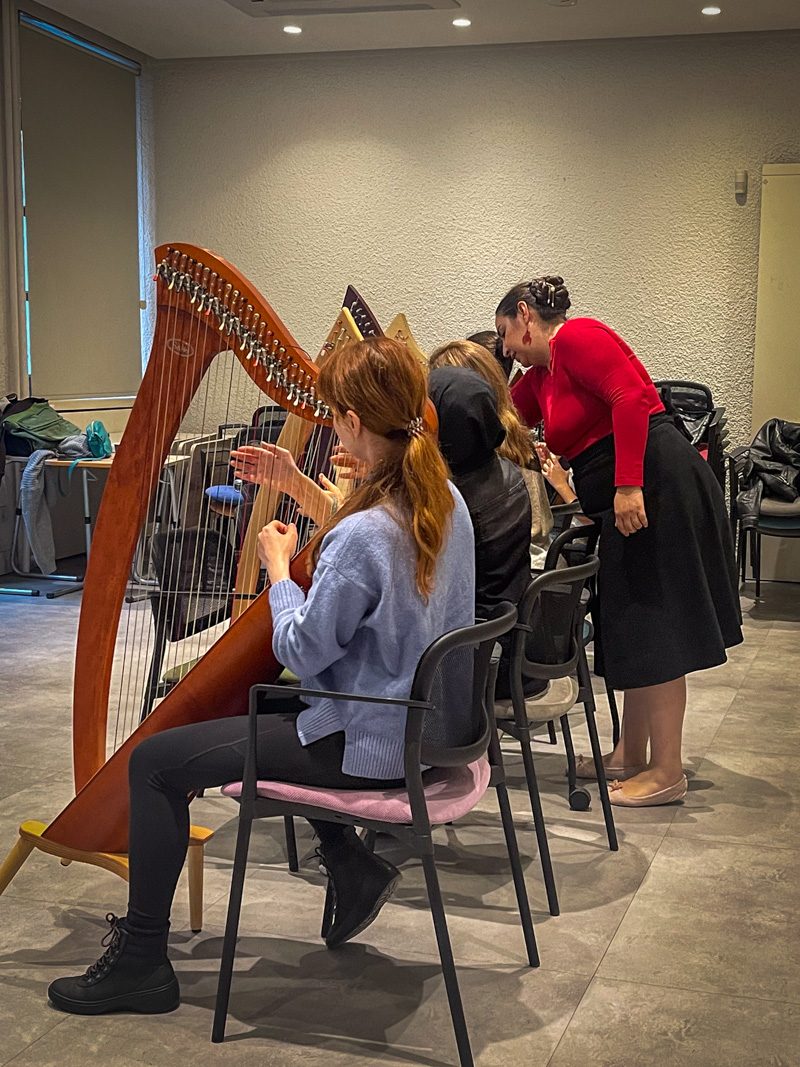 Harp Lessons
