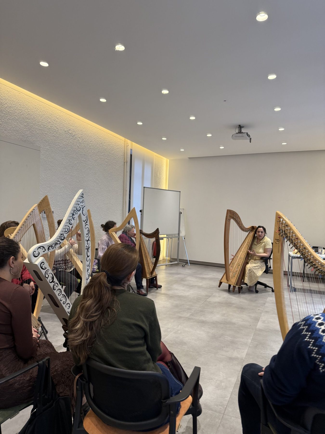 Harp lessons at Anatolian Harps