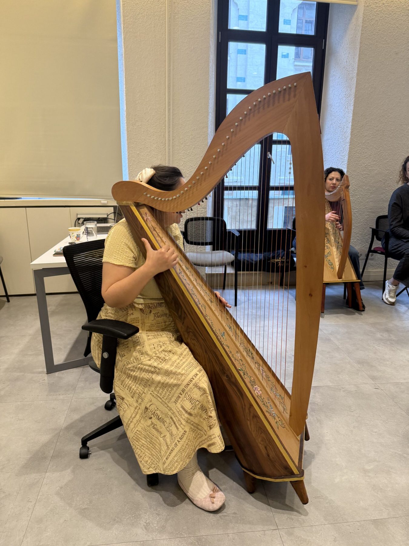 Harp lessons at Anatolian Harps