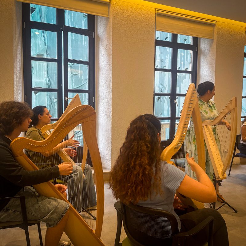 Harp lessons at Anatolian Harps
